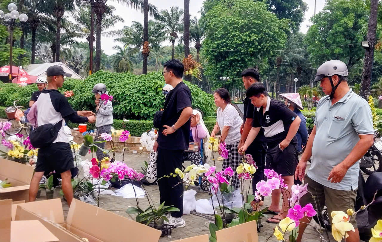 TP.HCM: Hoa Tết bình dân “cháy hàng”, mai mini vài chục nghìn đồng hút khách- Ảnh 2. TP.HCM: Hoa Tết bình dân “cháy hàng”, mai mini vài chục nghìn đồng hút khách- Ảnh 2.