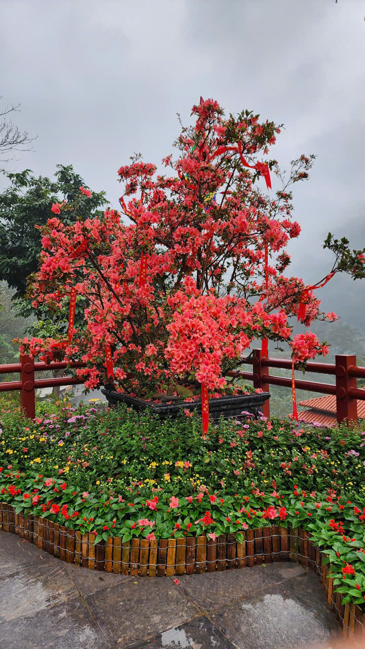 Ph&uacute; Thọ: Khu danh thắng T&acirc;y Thi&ecirc;n sẵn s&agrave;ng cho xu&acirc;n 2026 đ&oacute;n du kh&aacute;ch h&agrave;nh hương- Ảnh 7.
