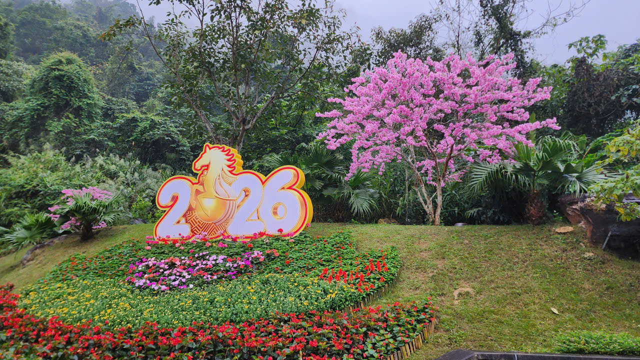 Ph&uacute; Thọ: Khu danh thắng T&acirc;y Thi&ecirc;n sẵn s&agrave;ng cho xu&acirc;n 2026 đ&oacute;n du kh&aacute;ch h&agrave;nh hương- Ảnh 6.