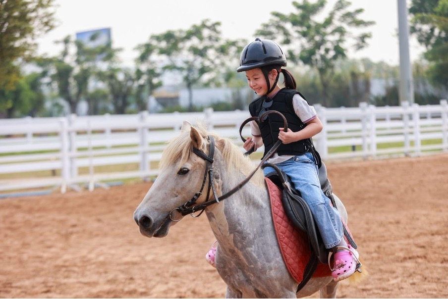 Không khí Tết ở những khu đô thị triệu USD- Ảnh 5. Không khí Tết ở những khu đô thị triệu USD- Ảnh 5.