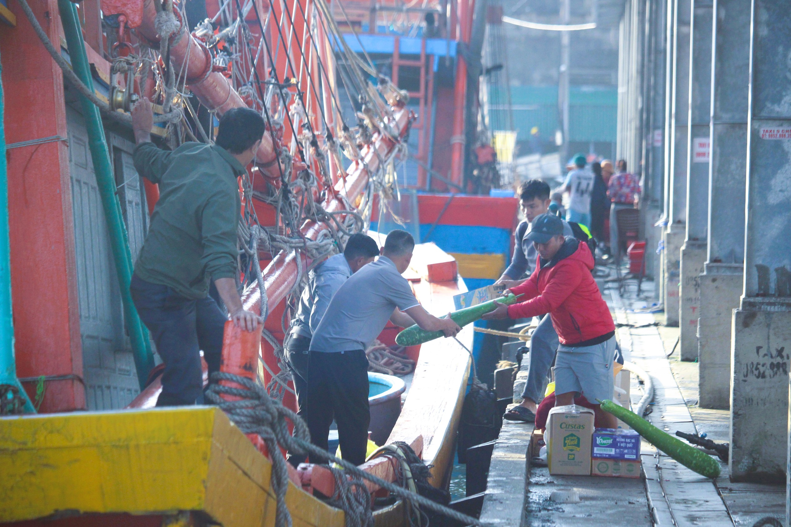 Ngư dân Quảng Trị vươn khơi, khoang tàu đầy ắp “lộc” biển đầu năm- Ảnh 1. Ngư dân Quảng Trị vươn khơi, khoang tàu đầy ắp “lộc” biển đầu năm- Ảnh 1.