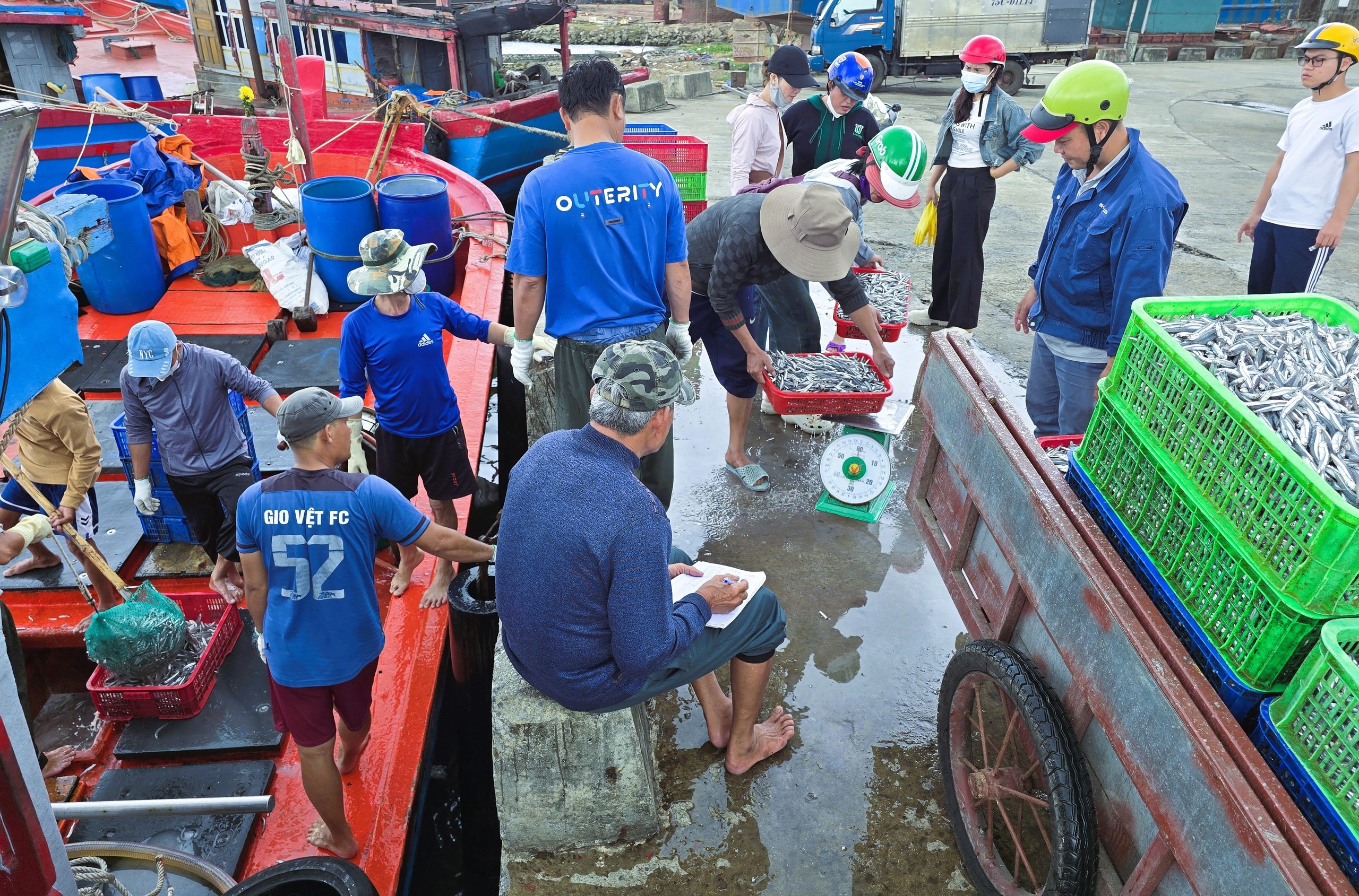 Ngư dân Quảng Trị vươn khơi, khoang tàu đầy ắp “lộc” biển đầu năm- Ảnh 10. Ngư dân Quảng Trị vươn khơi, khoang tàu đầy ắp “lộc” biển đầu năm- Ảnh 10.