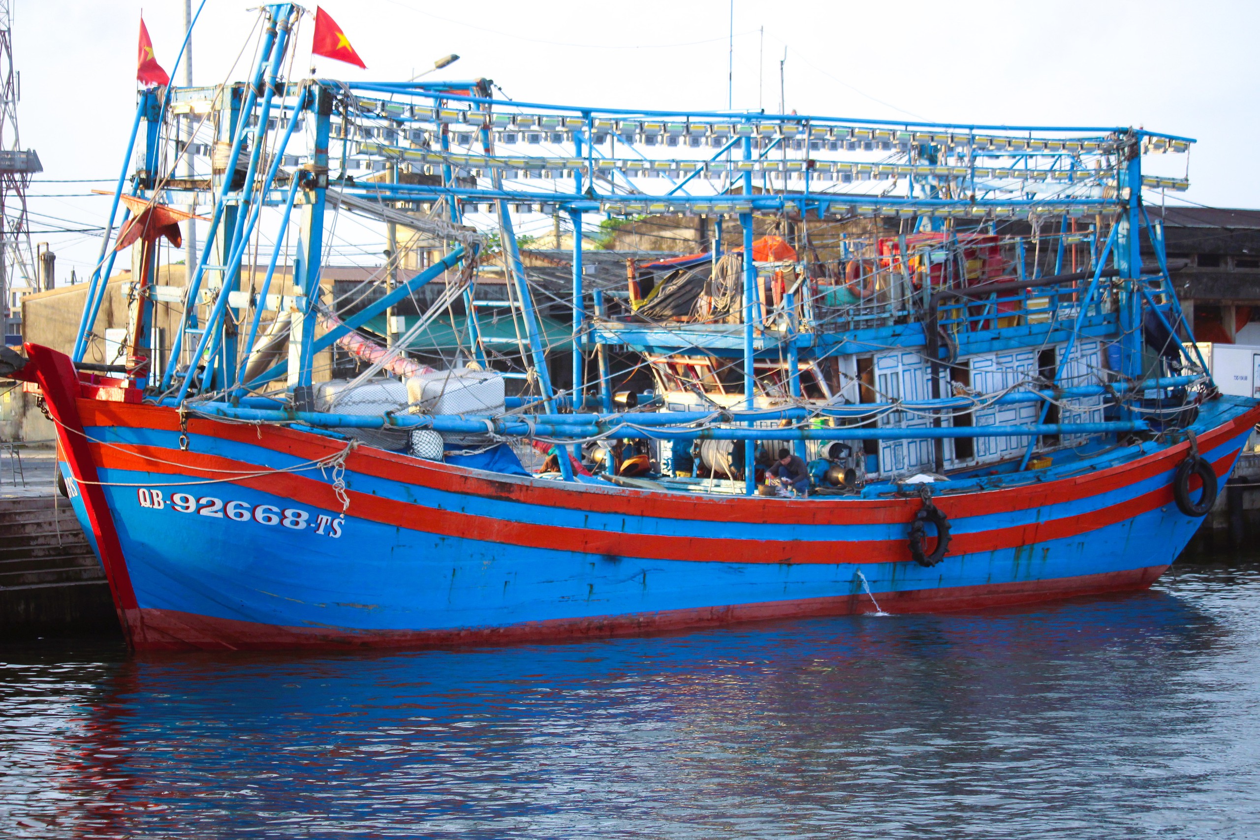 Ngư dân Quảng Trị vươn khơi, khoang tàu đầy ắp “lộc” biển đầu năm- Ảnh 5. Ngư dân Quảng Trị vươn khơi, khoang tàu đầy ắp “lộc” biển đầu năm- Ảnh 5.