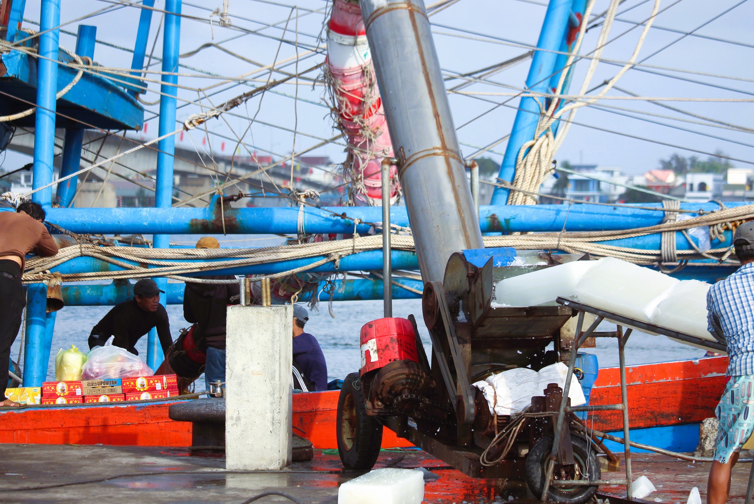 Ngư dân Quảng Trị vươn khơi, khoang tàu đầy ắp “lộc” biển đầu năm- Ảnh 6. Ngư dân Quảng Trị vươn khơi, khoang tàu đầy ắp “lộc” biển đầu năm- Ảnh 6.