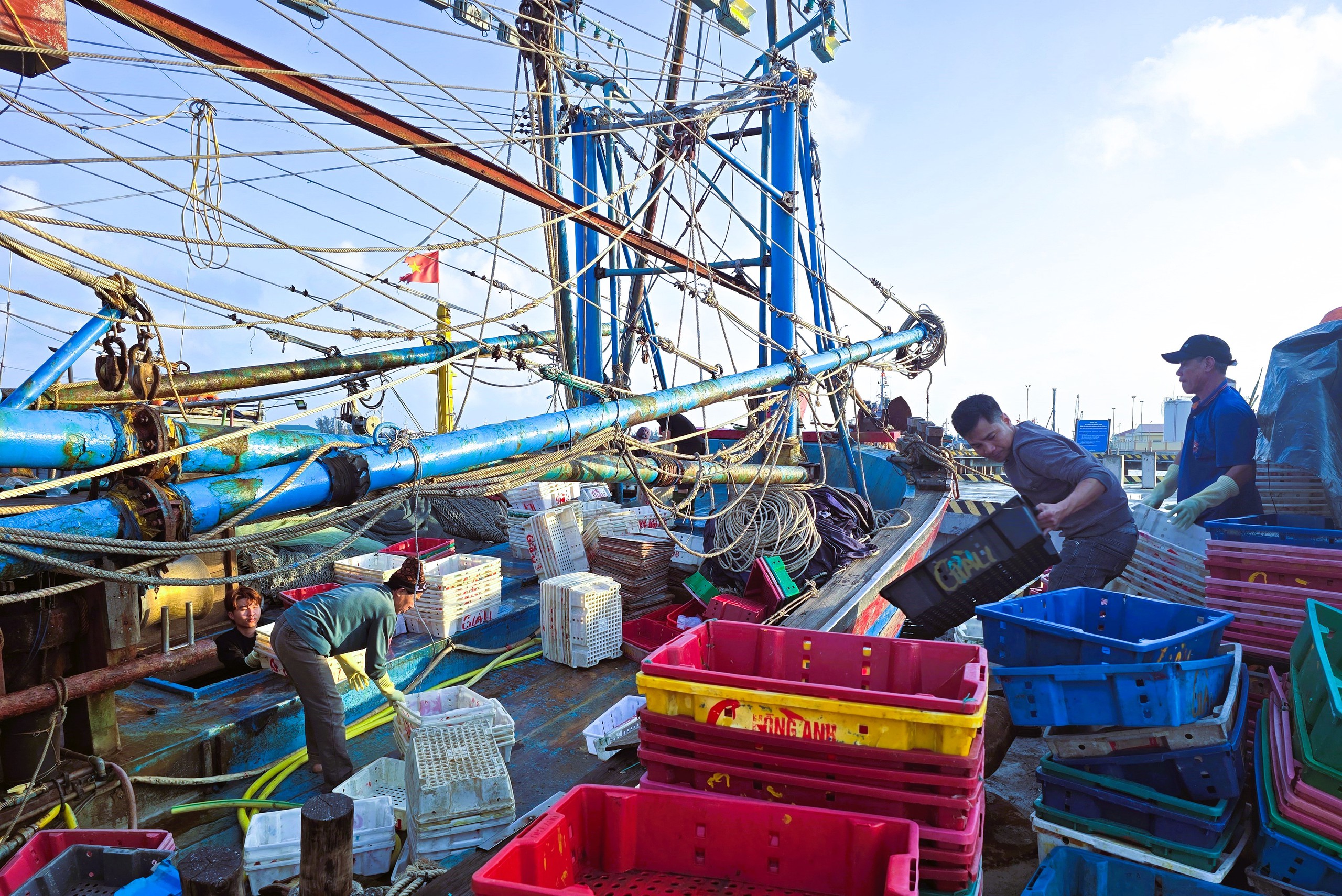 Ngư dân Quảng Trị vươn khơi, khoang tàu đầy ắp “lộc” biển đầu năm- Ảnh 7. Ngư dân Quảng Trị vươn khơi, khoang tàu đầy ắp “lộc” biển đầu năm- Ảnh 7.