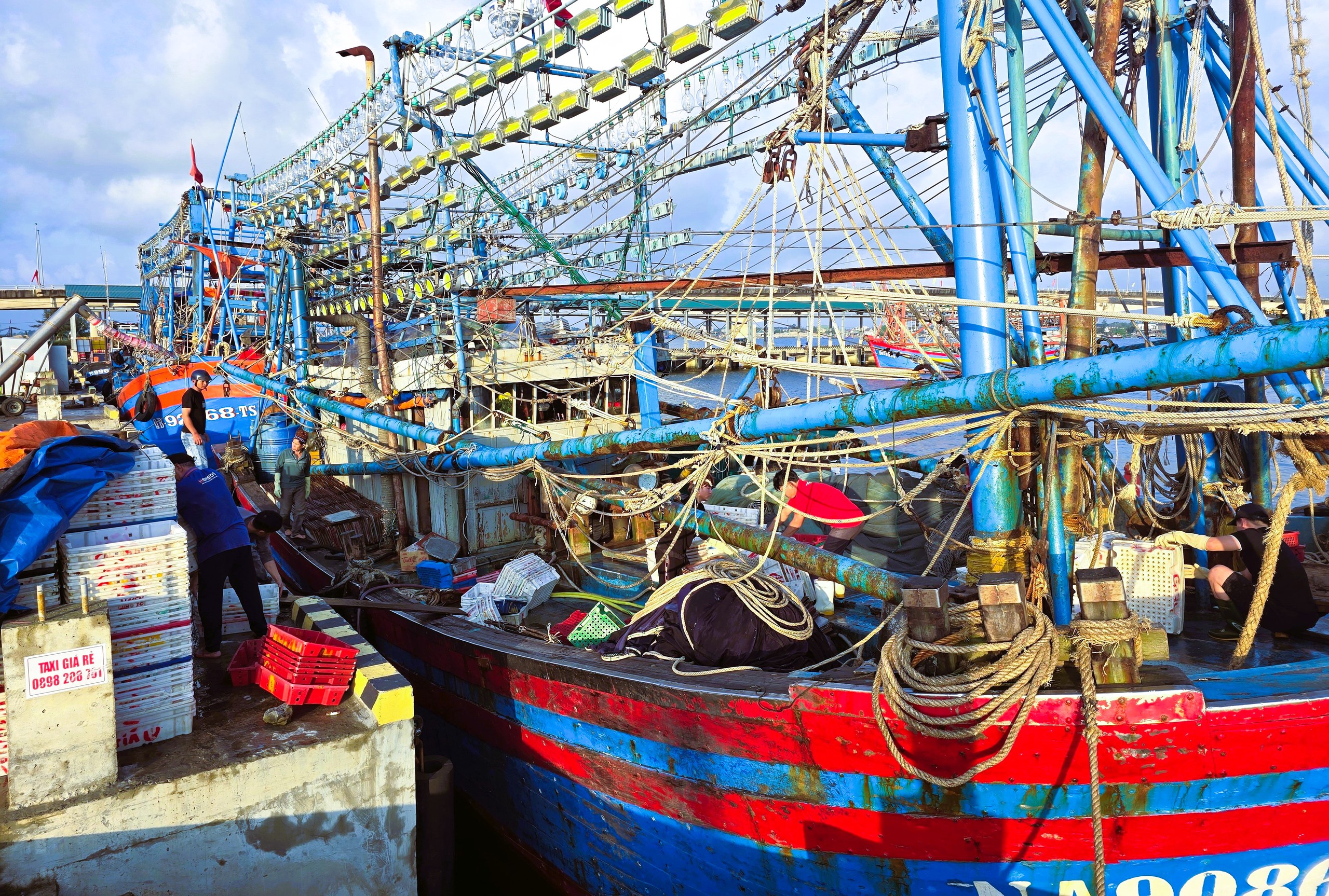 Ngư dân Quảng Trị vươn khơi, khoang tàu đầy ắp “lộc” biển đầu năm- Ảnh 8. Ngư dân Quảng Trị vươn khơi, khoang tàu đầy ắp “lộc” biển đầu năm- Ảnh 8.