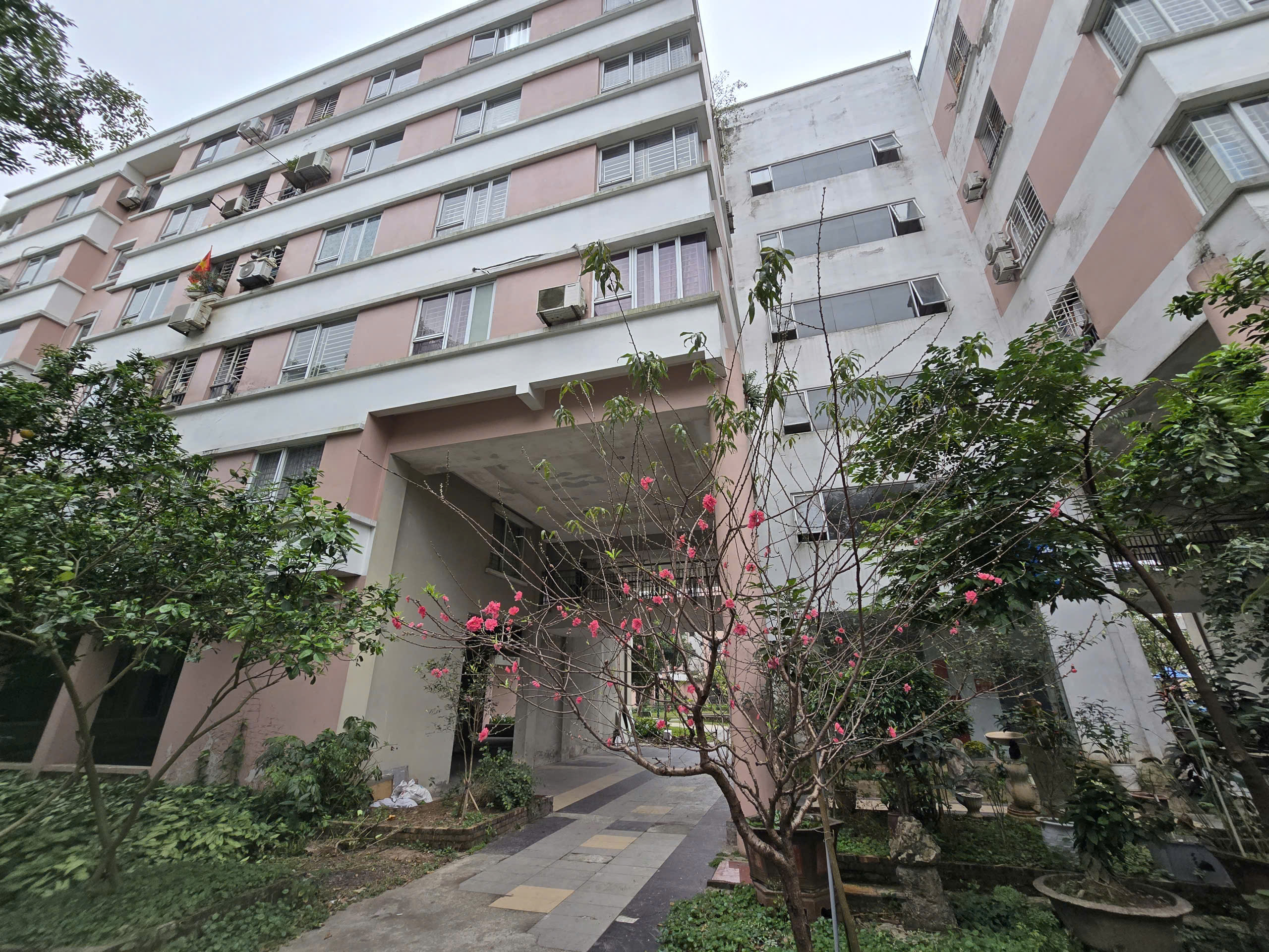 Tết &ldquo;lạ&rdquo; ở c&aacute;c khu nh&agrave; ở x&atilde; hội tại H&agrave; Nội- Ảnh 17.