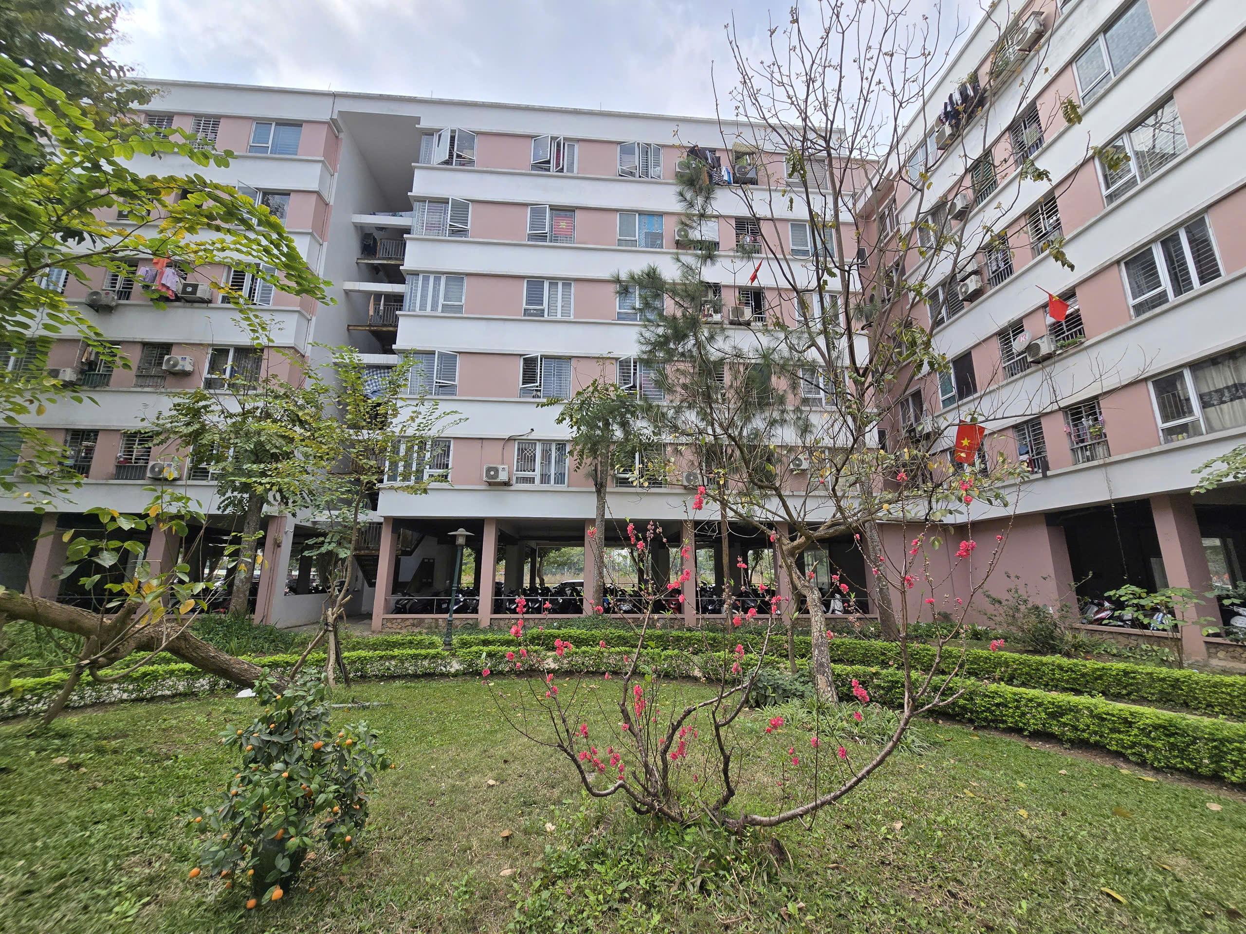 Tết &ldquo;lạ&rdquo; ở c&aacute;c khu nh&agrave; ở x&atilde; hội tại H&agrave; Nội- Ảnh 12.