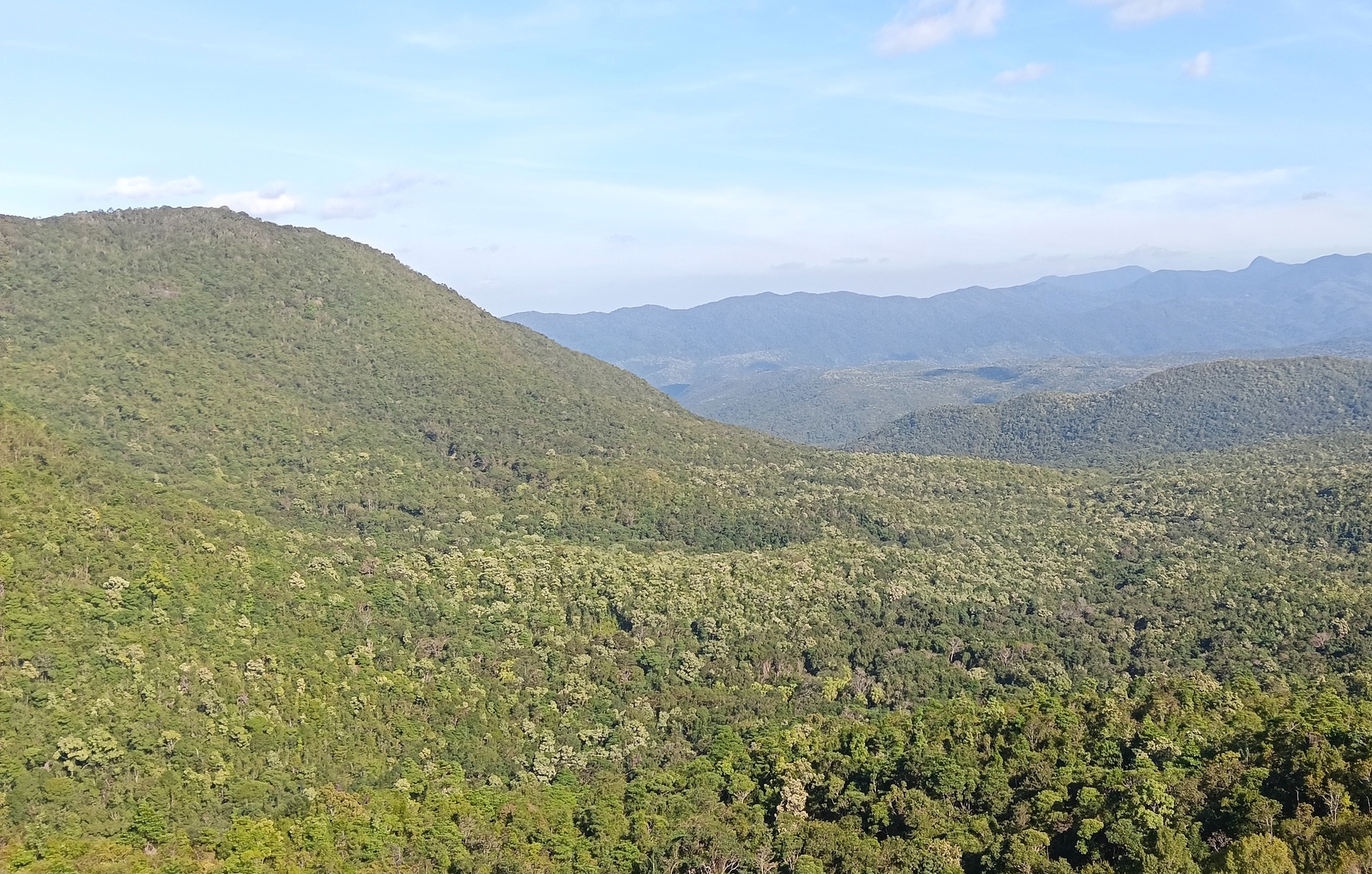 Bữa cơm Tết giản dị của người giữ rừng Tây Nguyên- Ảnh 9. Bữa cơm Tết giản dị của người giữ rừng Tây Nguyên- Ảnh 9.