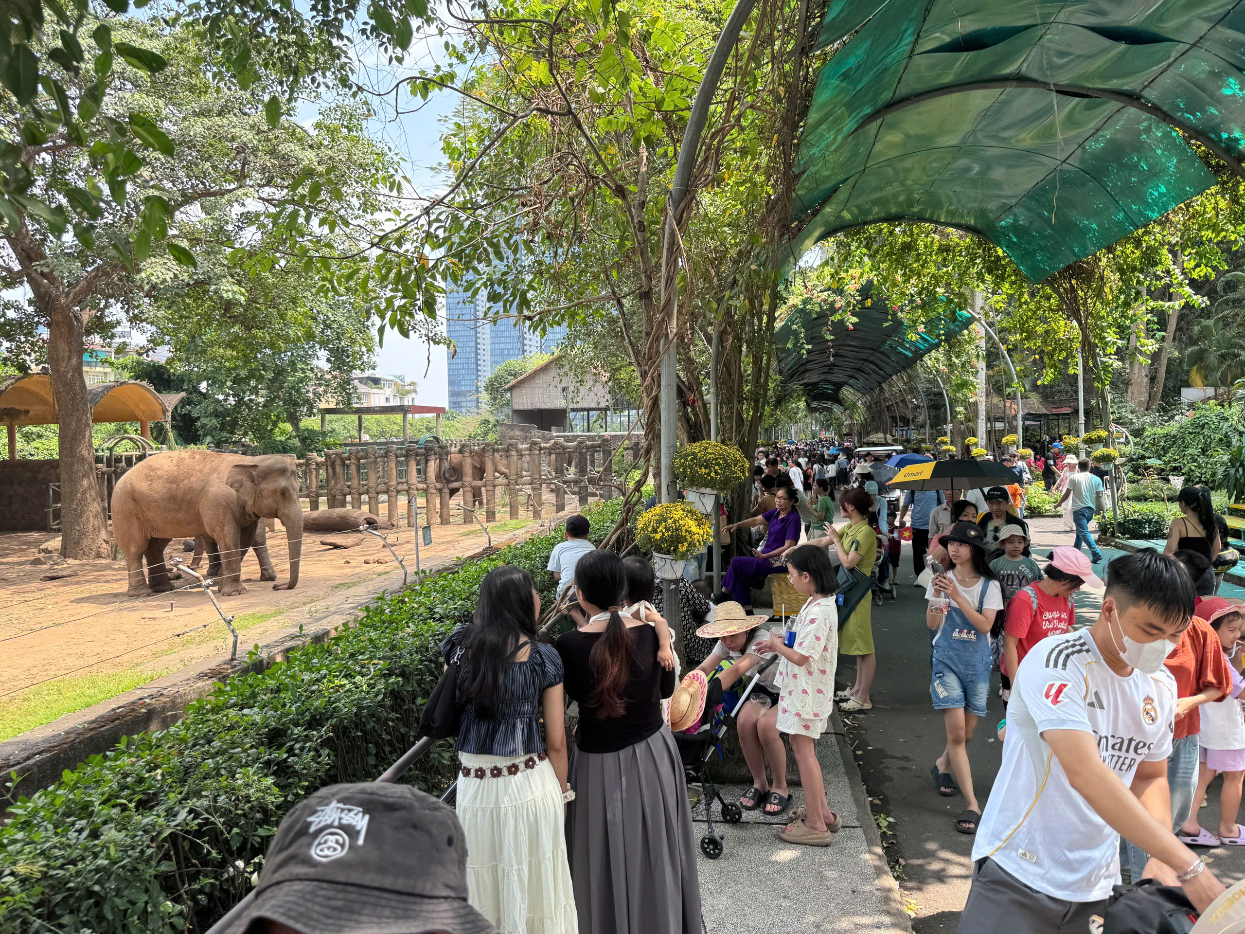 TP.HCM: Các điểm vui chơi, nhà ga metro đông nghẹt ngày mùng 5 Tết- Ảnh 8. TP.HCM: Các điểm vui chơi, nhà ga metro đông nghẹt ngày mùng 5 Tết- Ảnh 8.