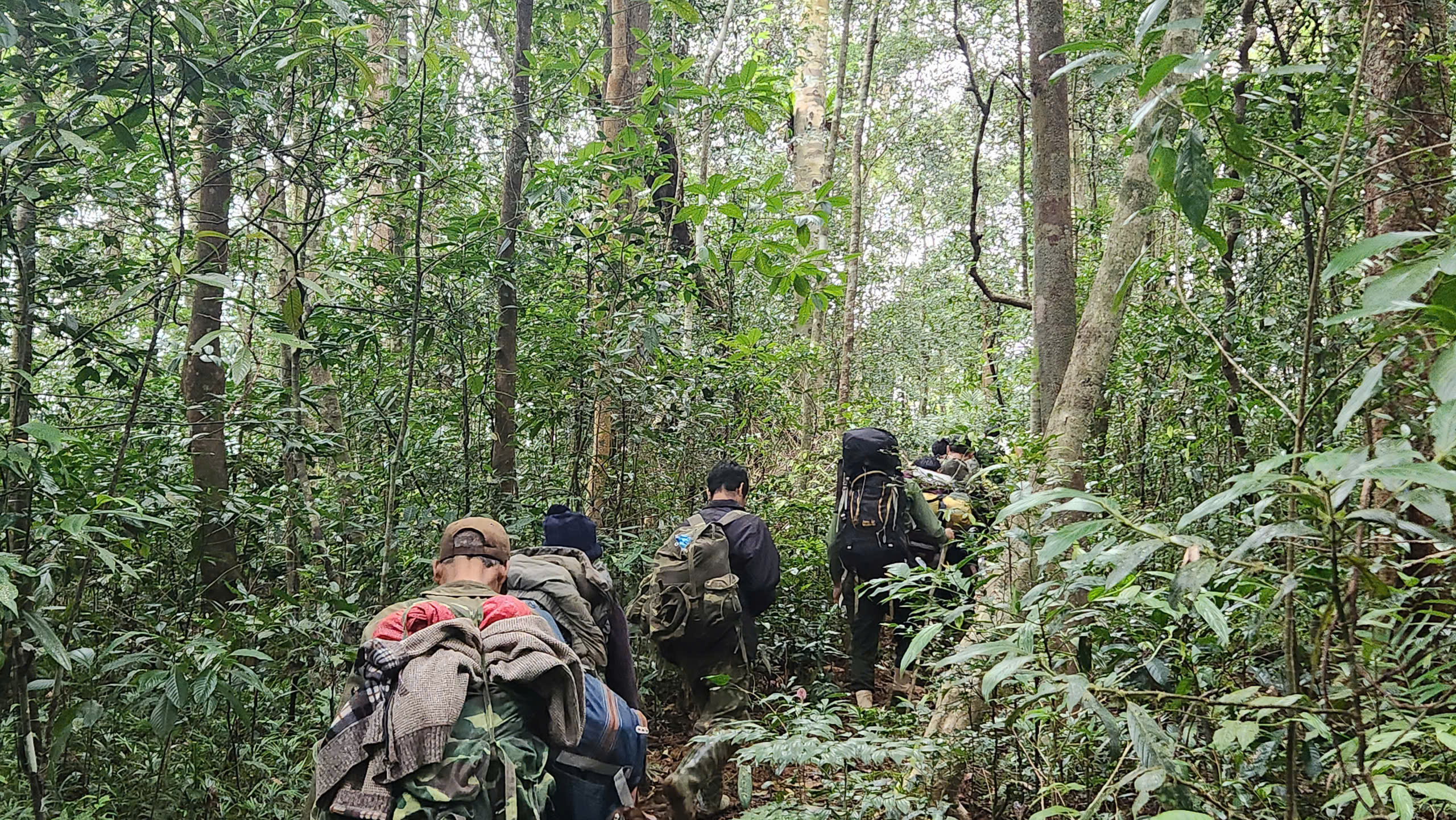 Bữa cơm Tết giản dị của người giữ rừng Tây Nguyên- Ảnh 4. Bữa cơm Tết giản dị của người giữ rừng Tây Nguyên- Ảnh 4.