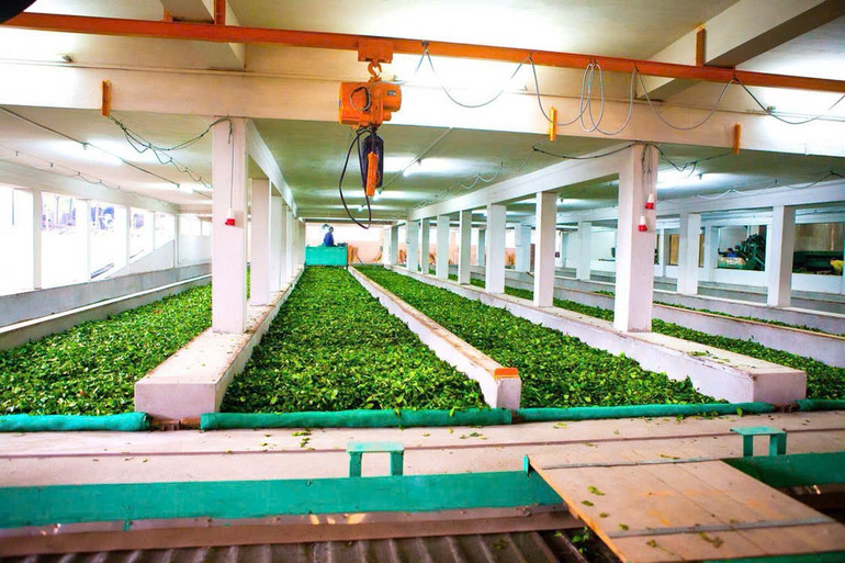 Từ kiểm soát rủi ro đến kiến tạo năng suất trong chuỗi thực phẩm- Ảnh 1. Từ kiểm soát rủi ro đến kiến tạo năng suất trong chuỗi thực phẩm- Ảnh 1.