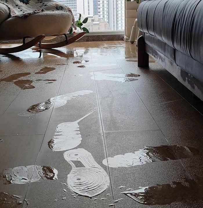 Nồm ẩm sau Tết ở miền Bắc: Cách giữ nhà khô ráo, hạn chế nấm mốc- Ảnh 1.