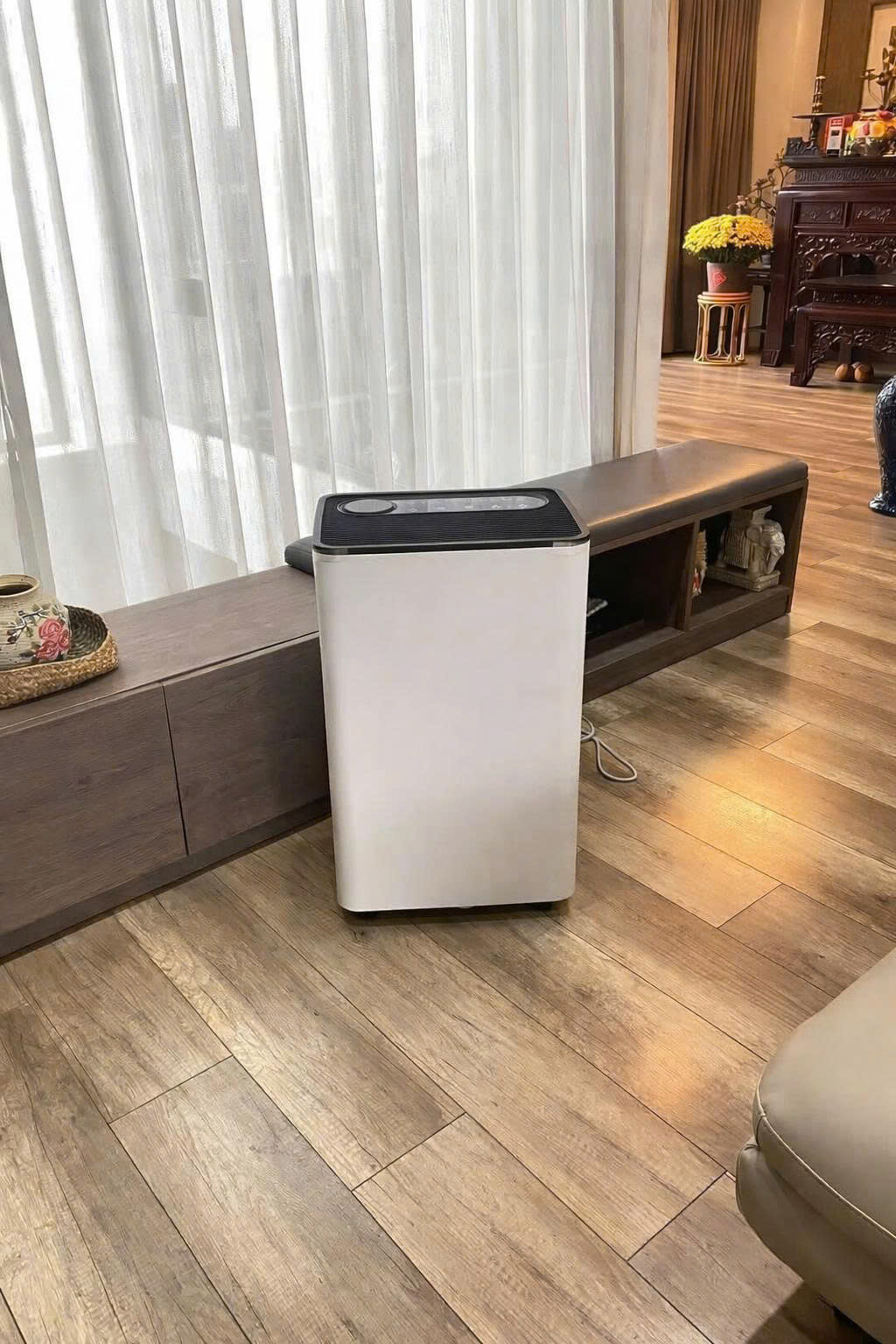 Nồm ẩm sau Tết ở miền Bắc: Cách giữ nhà khô ráo, hạn chế nấm mốc- Ảnh 2.