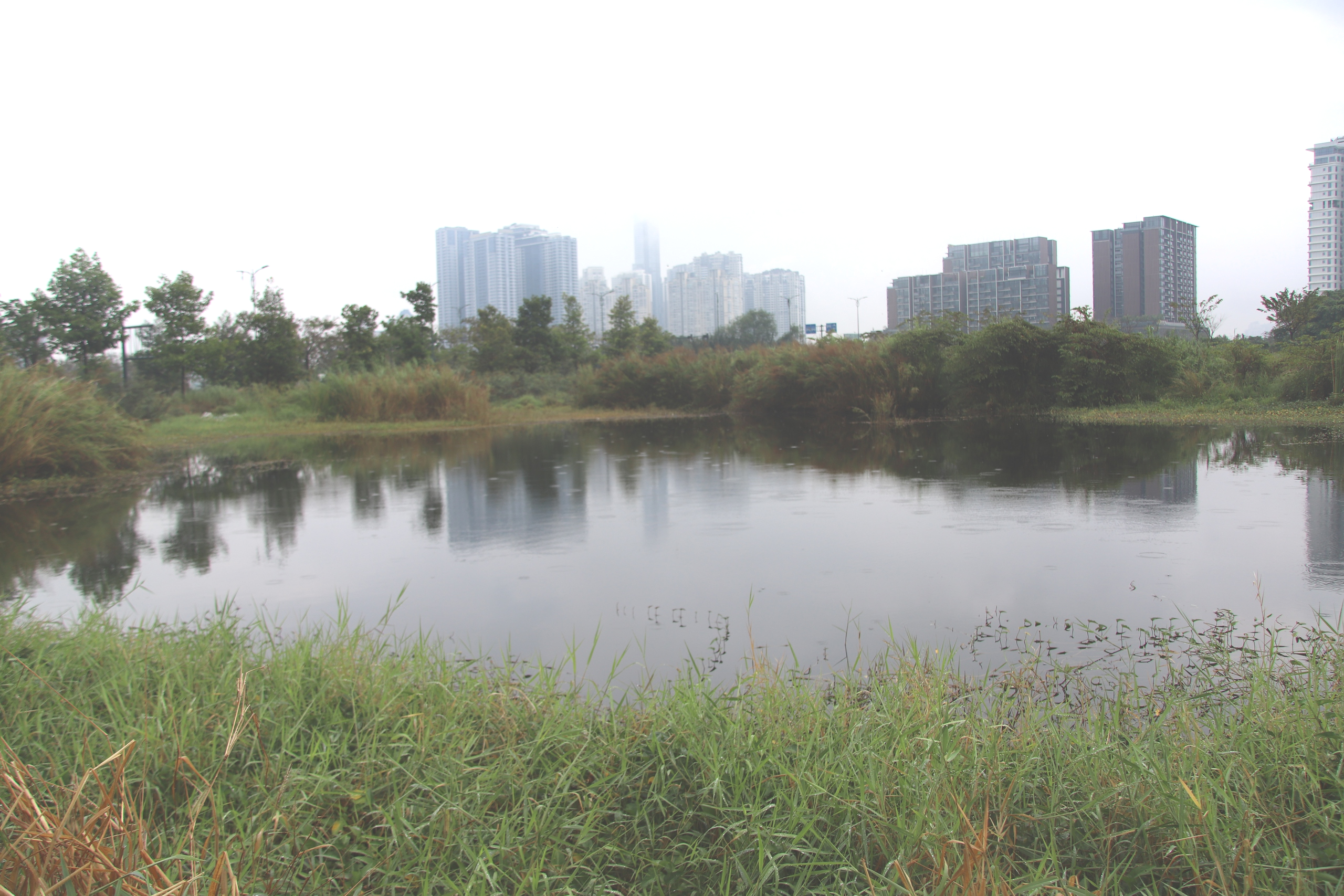 Cận cảnh khu đất vàng được đề xuất xây tháp 99 tầng cao nhất Việt Nam- Ảnh 7.