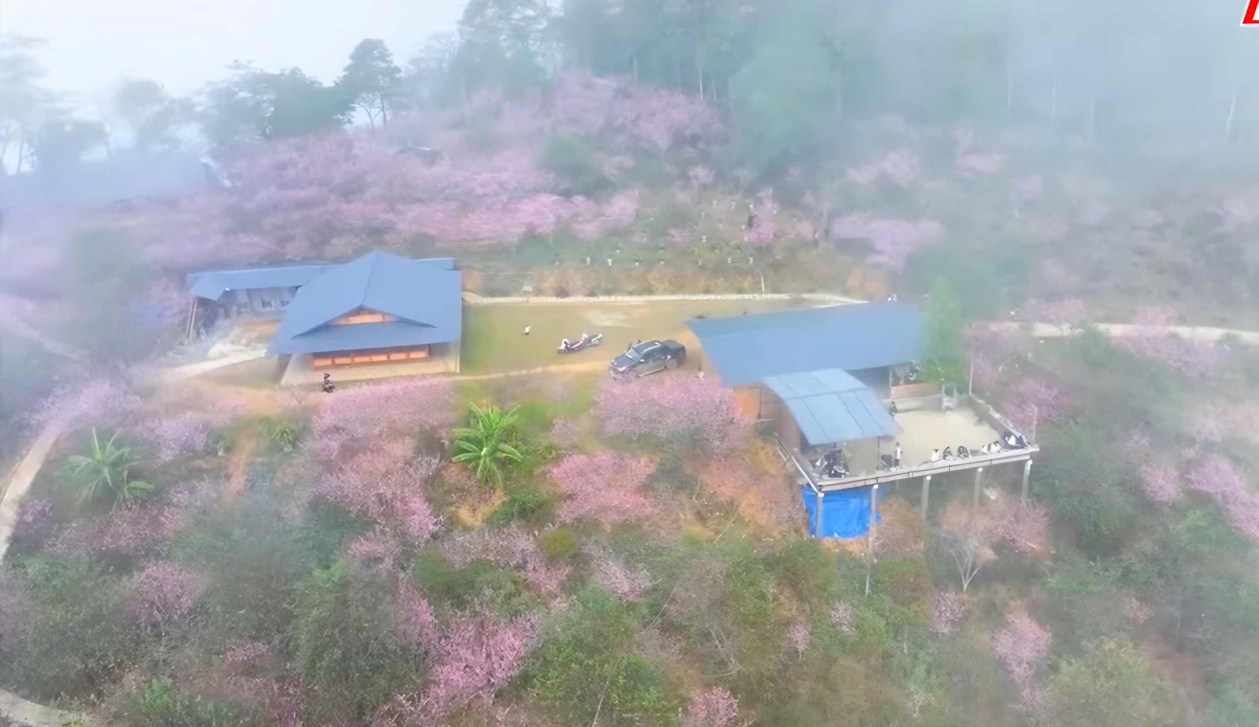 Độc đ&aacute;o phi&ecirc;n chợ v&ugrave;ng cao Sin Suối Hồ h&uacute;t kh&aacute;ch du lịch- Ảnh 1.