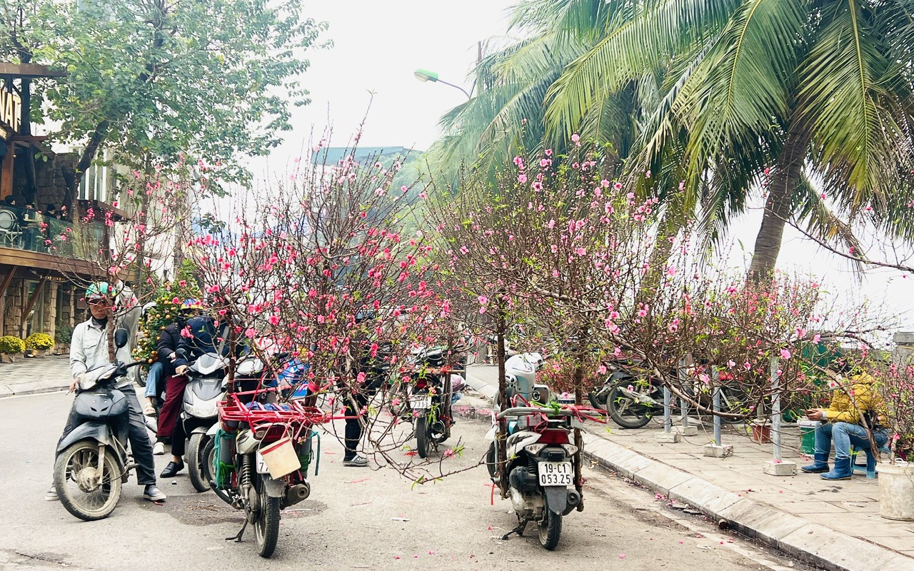 Vỉa h&egrave; H&agrave; Nội chật chội m&ugrave;a hoa Tết