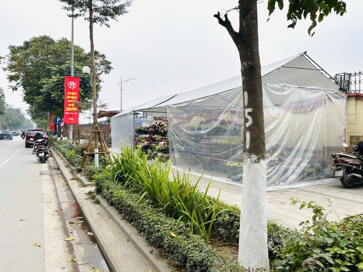 Vỉa h&egrave; H&agrave; Nội chật chội m&ugrave;a hoa Tết- Ảnh 10.