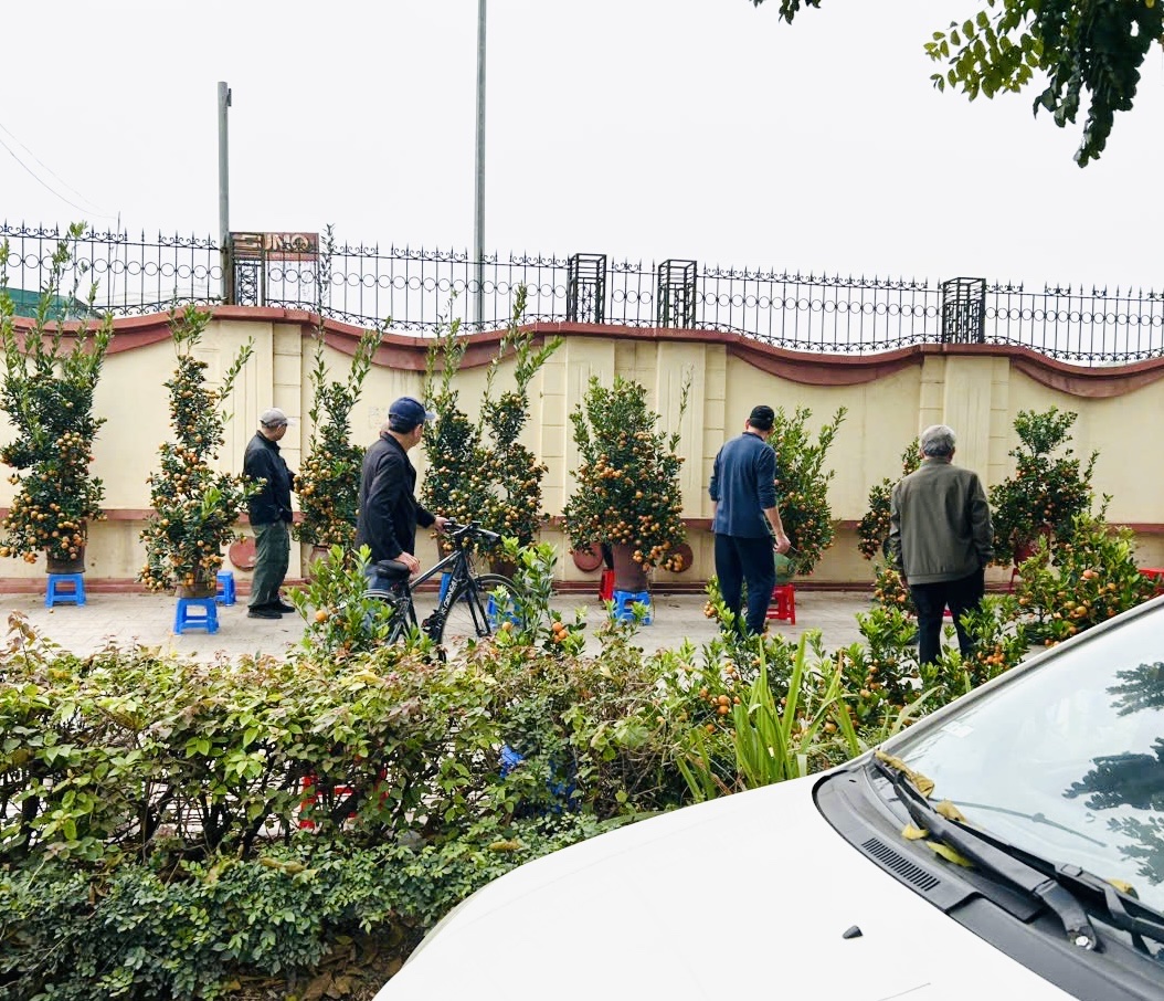 Vỉa h&egrave; H&agrave; Nội chật chội m&ugrave;a hoa Tết- Ảnh 4.