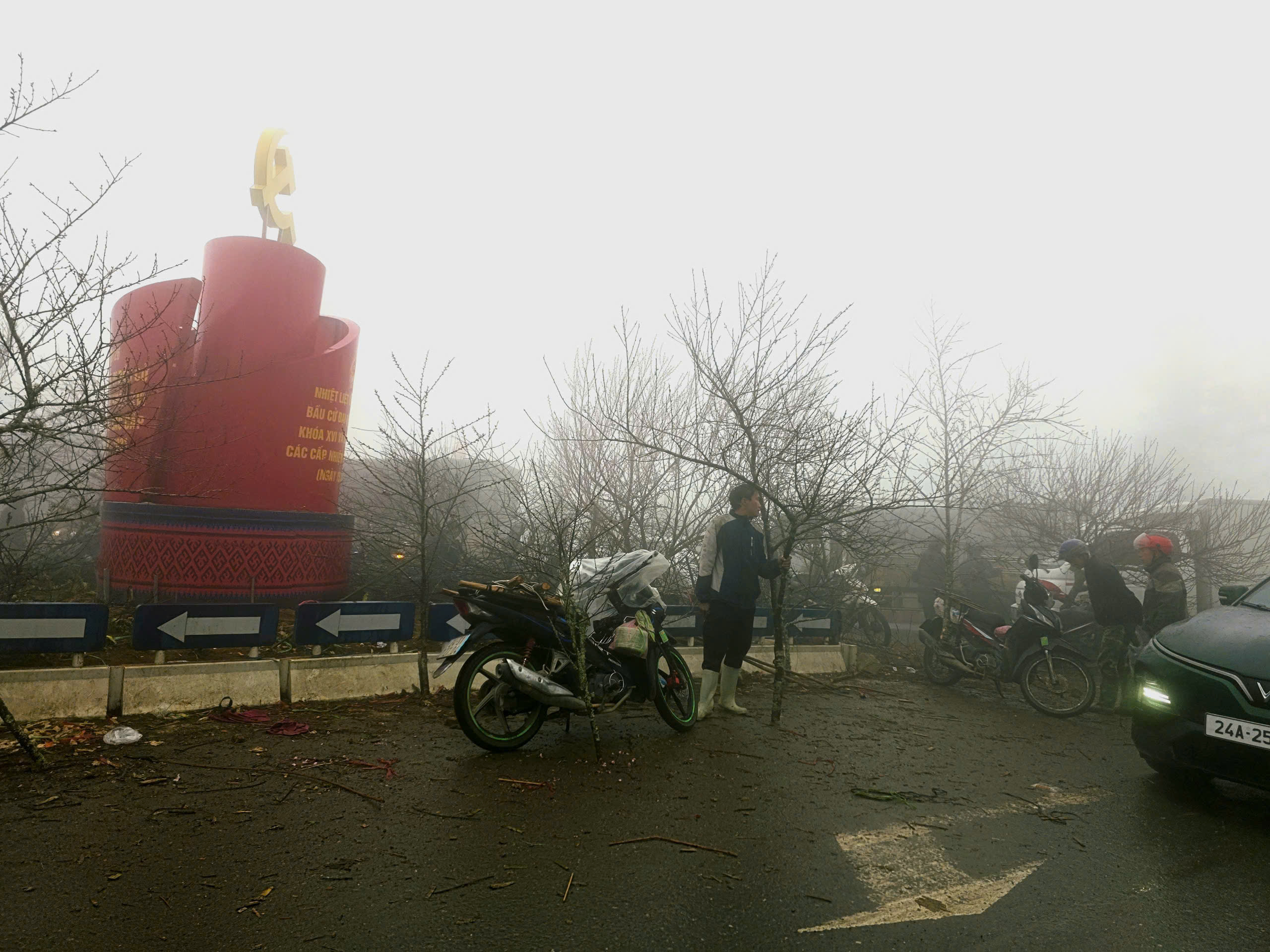 Đ&agrave;o rừng, nhất chi mai ở Sa Pa nhộn nhịp xuống phố- Ảnh 1.