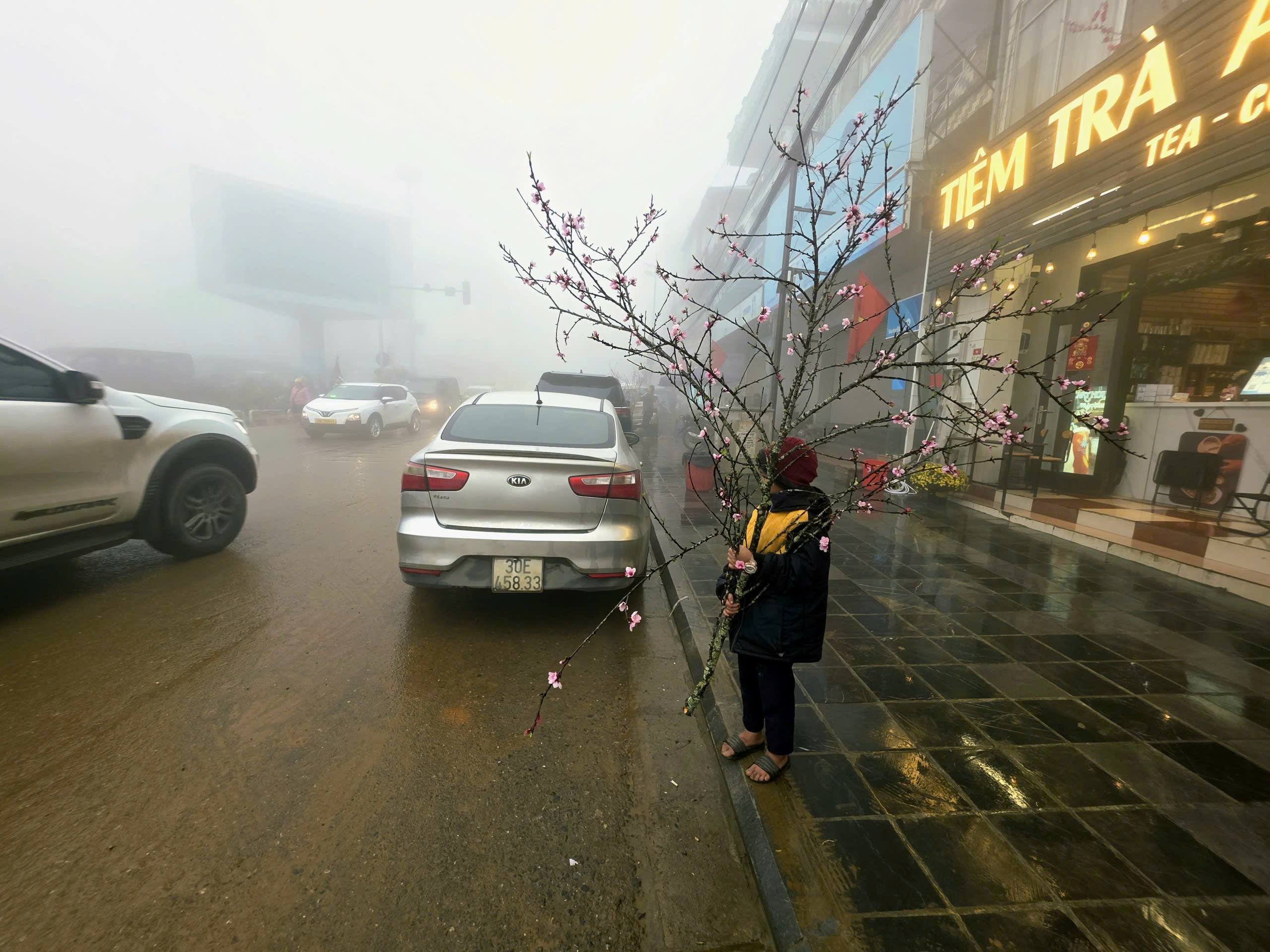 Đ&agrave;o rừng, nhất chi mai ở Sa Pa nhộn nhịp xuống phố- Ảnh 8.