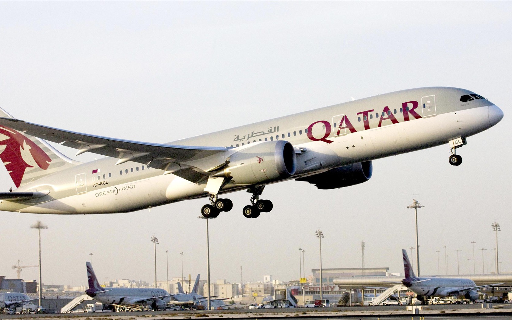 Nhiều quốc gia Trung Đ&ocirc;ng đ&oacute;ng cửa kh&ocirc;ng phận, Cục H&agrave;ng kh&ocirc;ng cảnh b&aacute;o khẩn