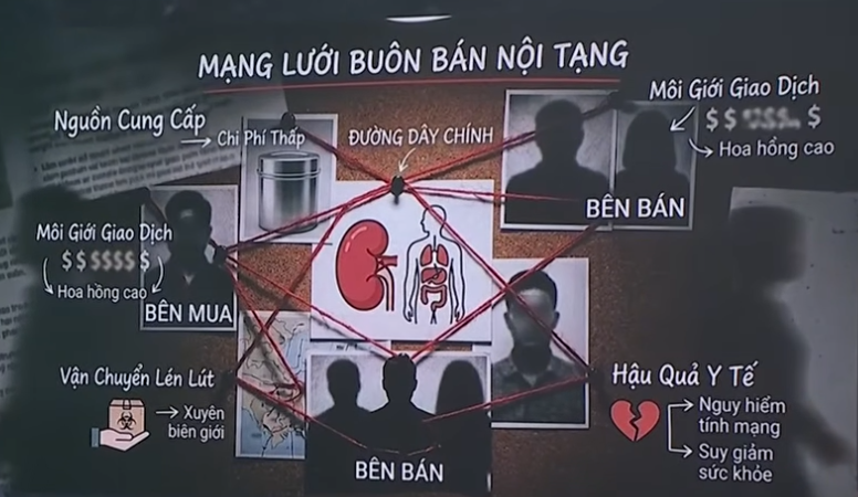 Bộ Y tế y&ecirc;u cầu thực hiện việc lấy, gh&eacute;p tạng theo đ&uacute;ng ph&aacute;p luật- Ảnh 1.