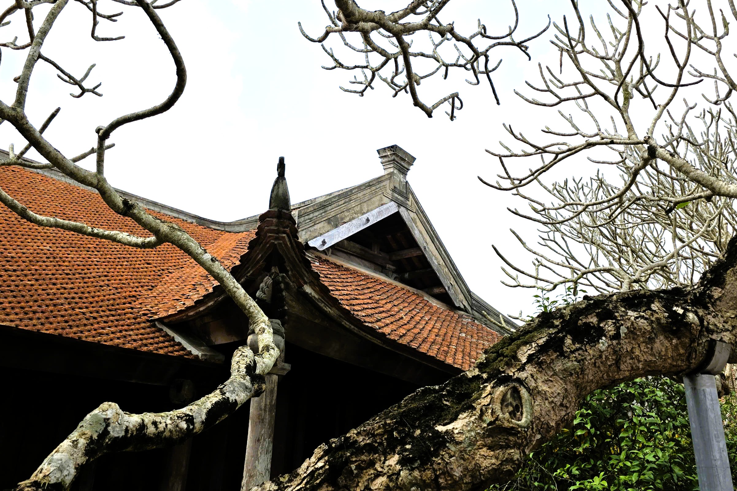 Ch&ugrave;a Keo (Hưng Y&ecirc;n): C&ocirc;ng tr&igrave;nh kiến tr&uacute;c gỗ cổ với kh&ocirc;ng gian &ldquo;ch&ugrave;a - đ&igrave;nh - đền&rdquo; độc đ&aacute;o- Ảnh 31.