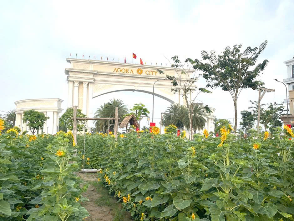 Hạ tầng bứt tốc mở ra chu kỳ tăng trưởng mới cho bất động sản phía Tây TP.HCM- Ảnh 4.