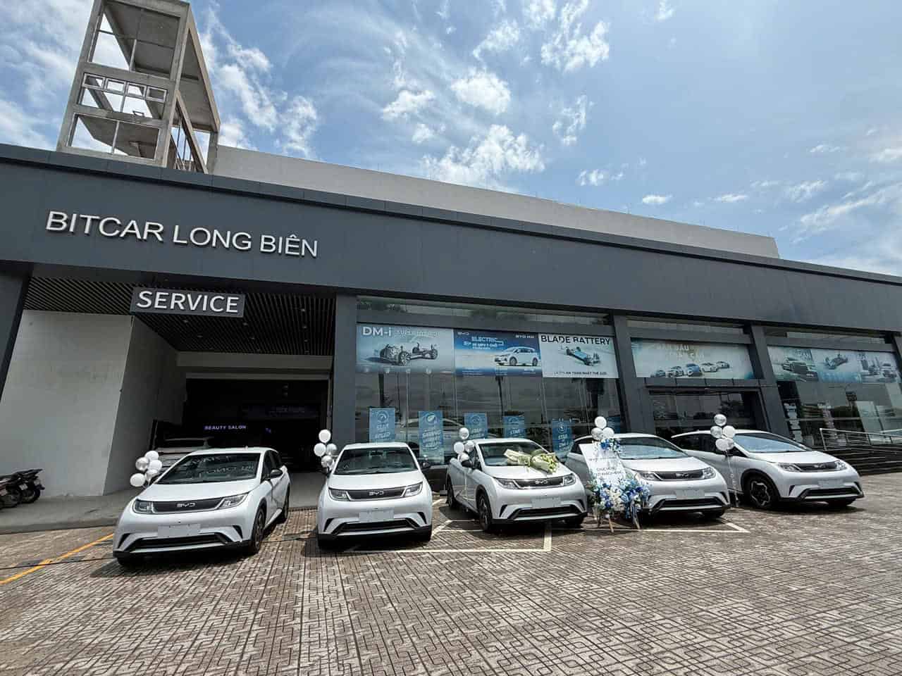 BYD từng bước gia tăng hiện diện tại thị trường Việt Nam- Ảnh 2.