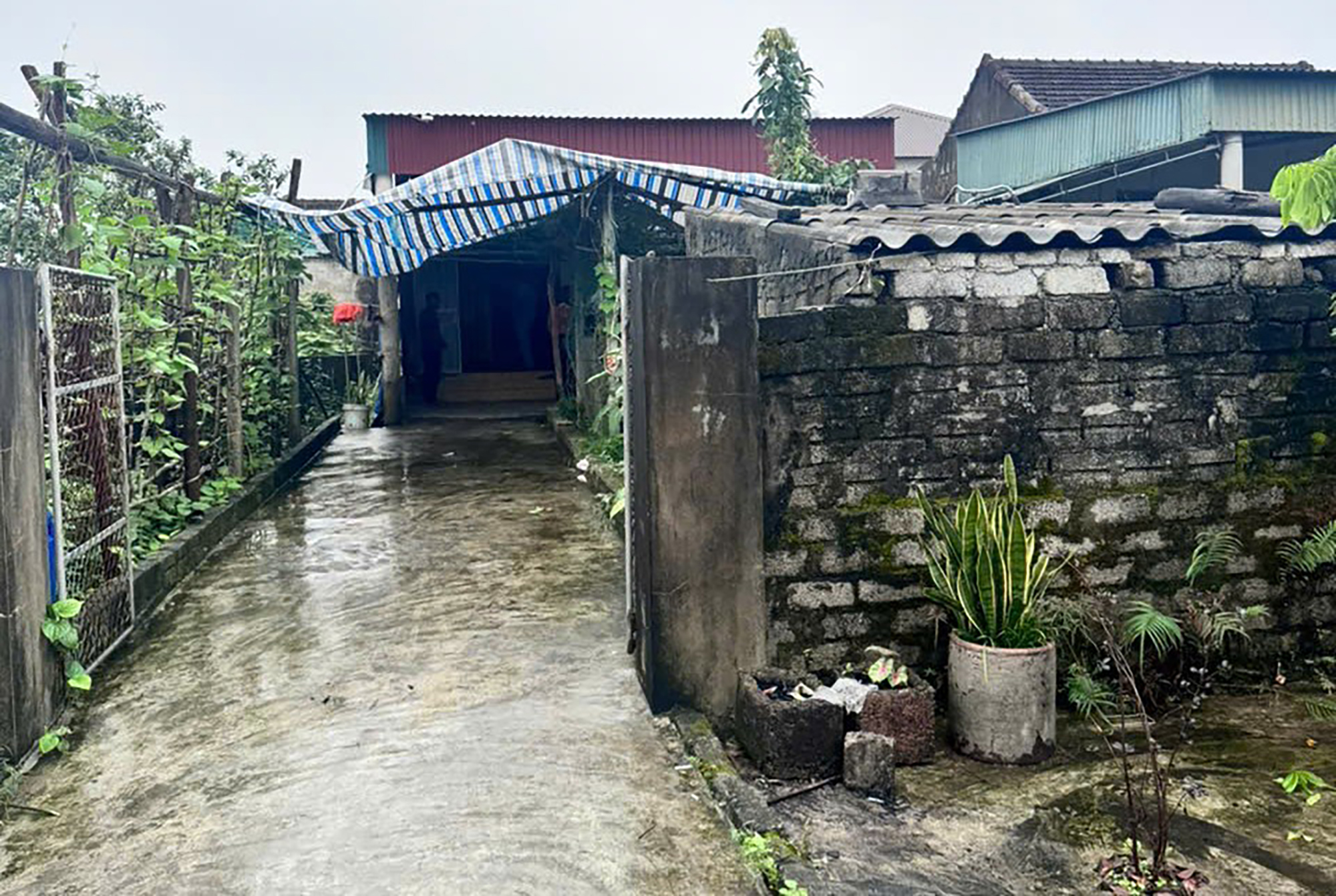 Chồng mất v&igrave; tai nạn, vợ con l&acirc;m cảnh khốn c&ugrave;ng- Ảnh 2.