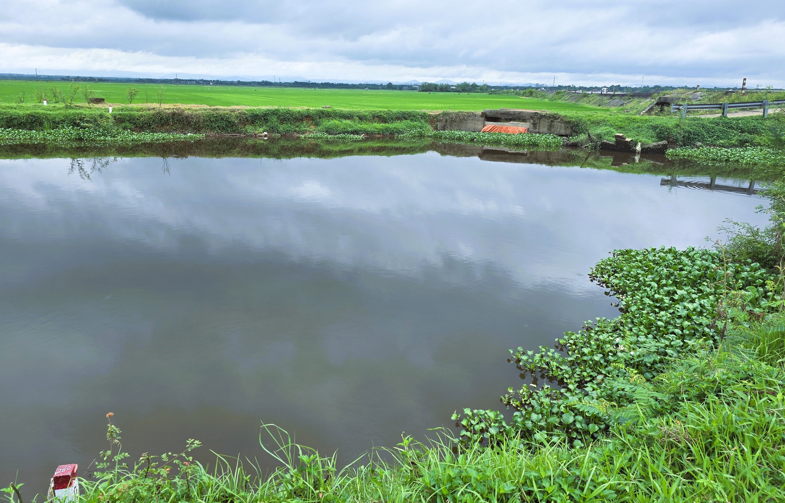 Quảng Trị chốt thời gian b&agrave;n giao mặt bằng dự &aacute;n 1.940 tỷ đồng- Ảnh 3.