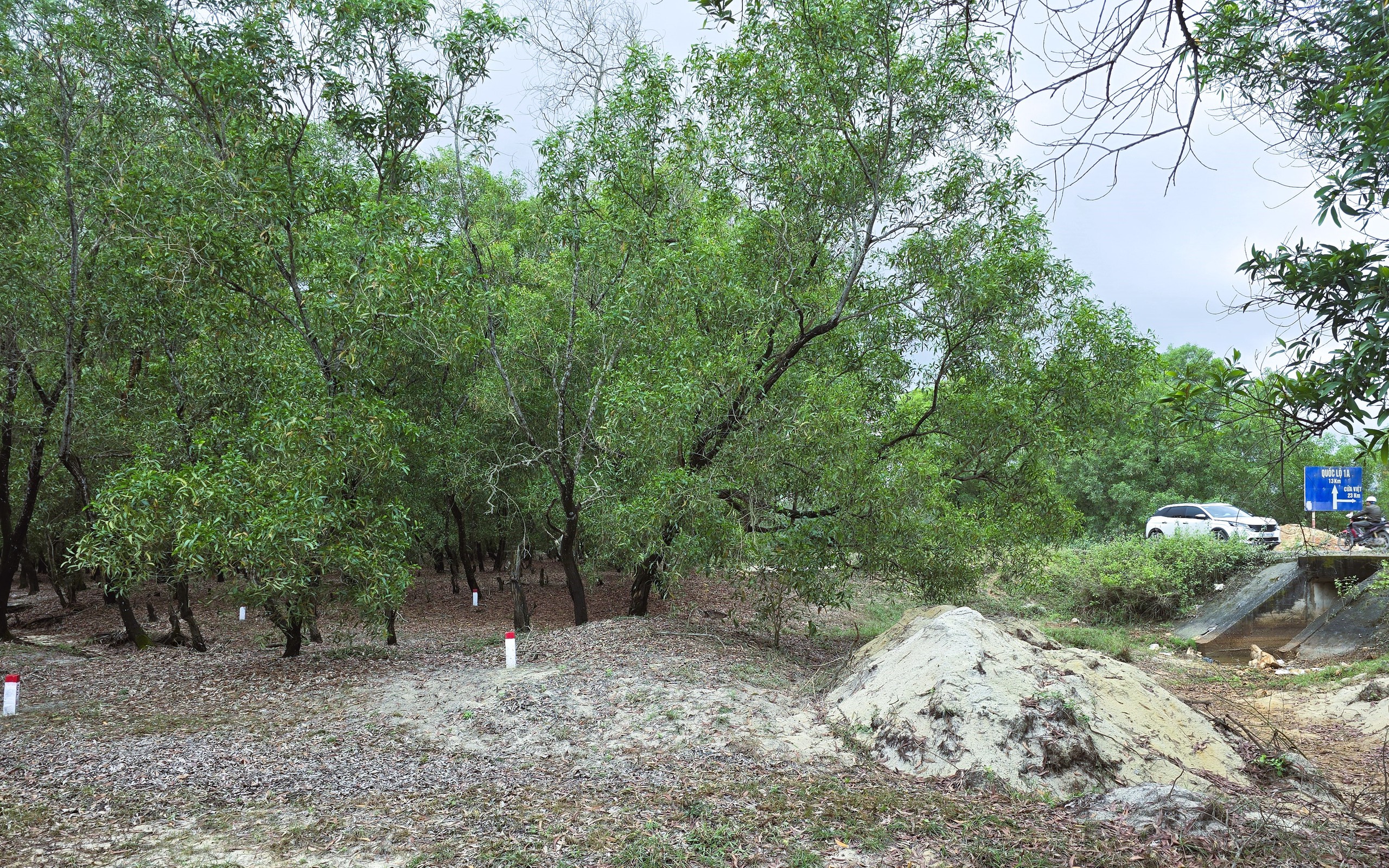 Quảng Trị chốt thời gian b&agrave;n giao mặt bằng dự &aacute;n 1.940 tỷ đồng- Ảnh 5.