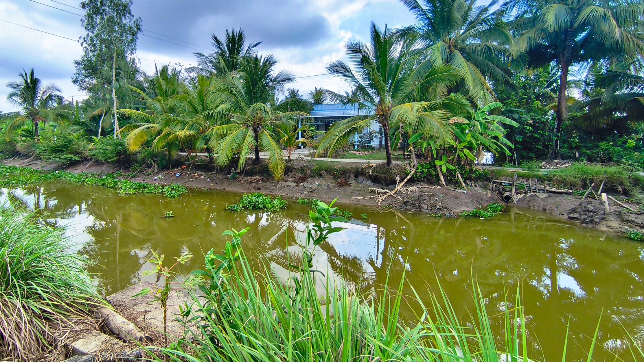 Cà Mau: 13 điểm sạt lở đất, nguy cơ chia cắt đường giao thông- Ảnh 2. Cà Mau: 13 điểm sạt lở đất, nguy cơ chia cắt đường giao thông- Ảnh 2.