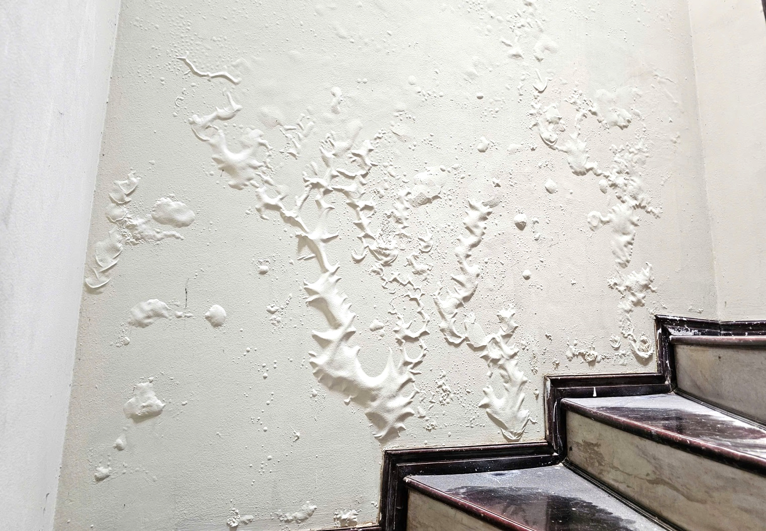 Thị trường vật liệu chống thấm “hút khách” khi Hà Nội bước vào cao điểm nồm ẩm- Ảnh 1. E:\Năm 2026\Tháng 3\z7578105469146_6831c2ee01658f3aa7b699358adeec61.jpg