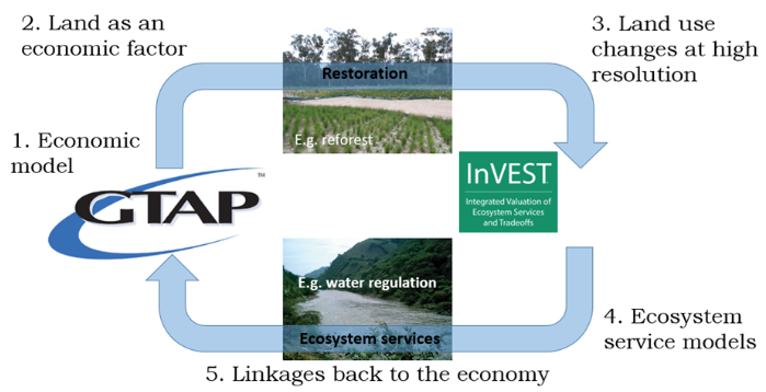 Mô hình kinh tế tích hợp sinh thái. Mô hình kinh tế tích hợp sinh thái.