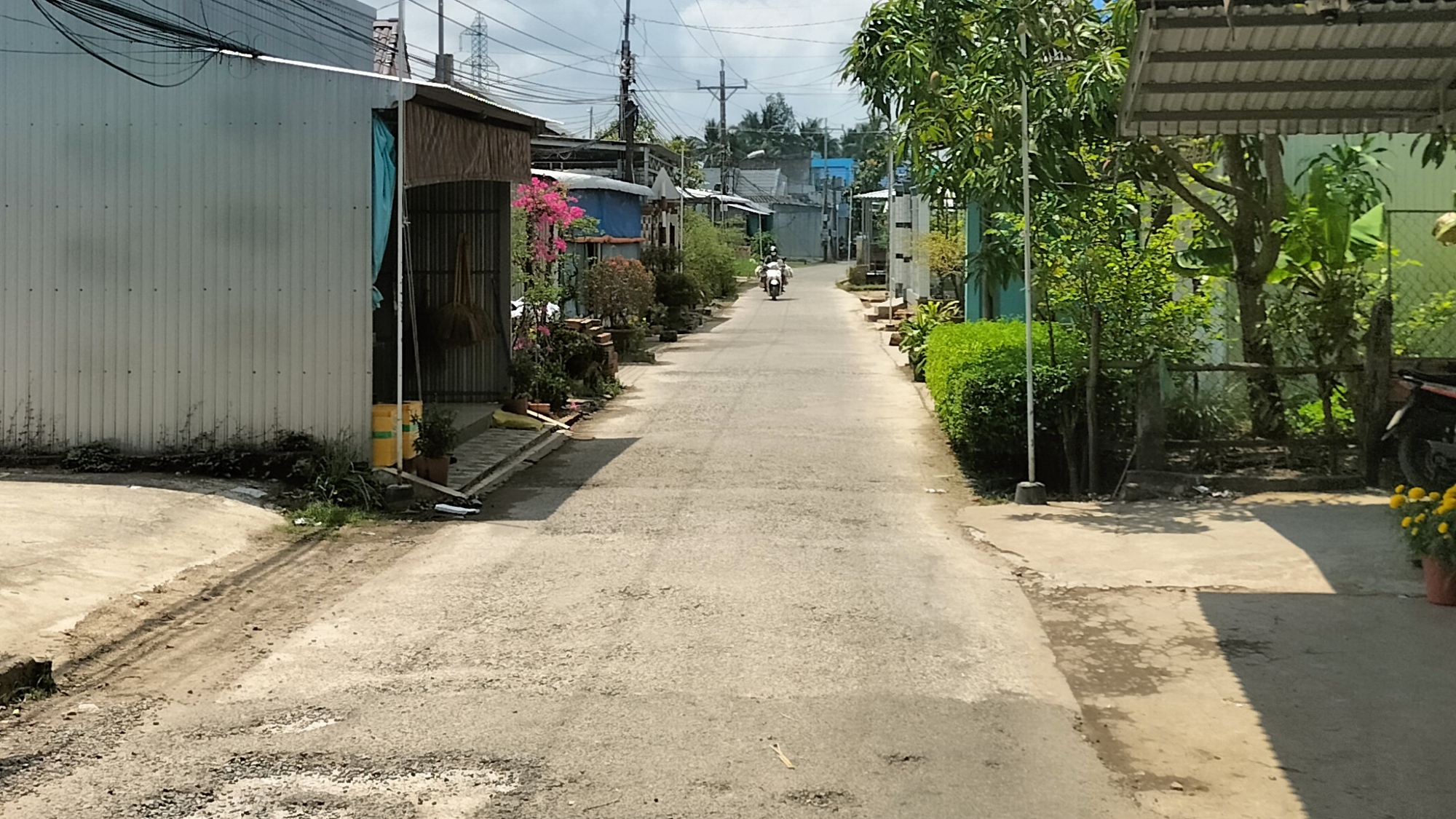 C&agrave; Mau: Điều chỉnh dự &aacute;n n&acirc;ng cấp, mở rộng đường Lộc Ninh - Ninh Thạnh Lợi- Ảnh 1.