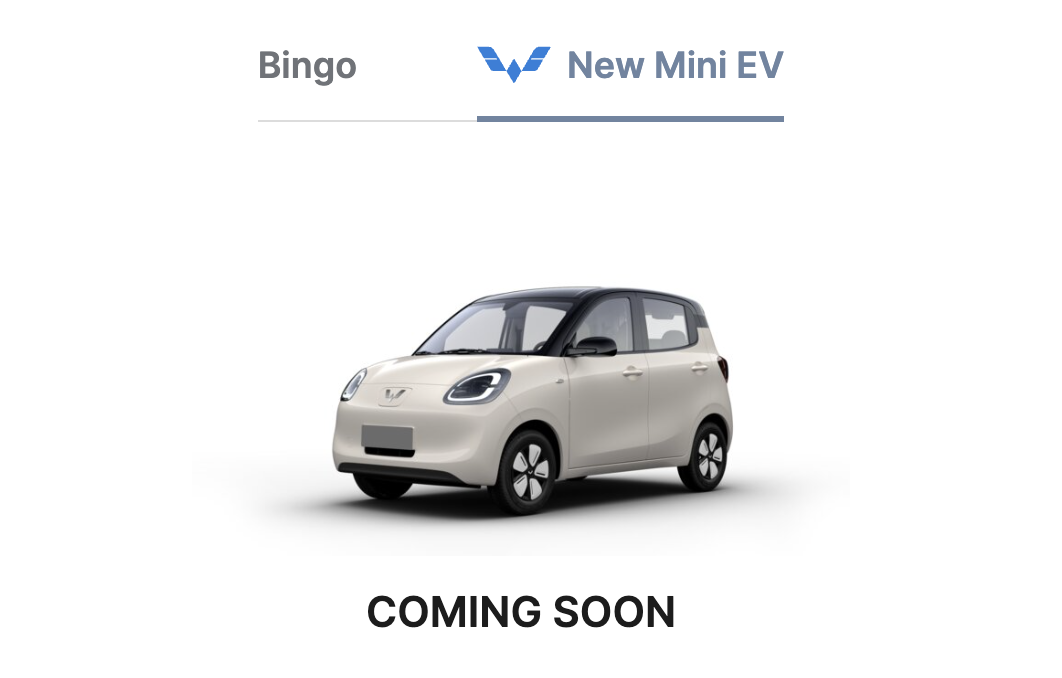 Vì sao Wuling Mini EV biến mất khỏi danh mục sản phẩm tại Việt Nam?- Ảnh 1.