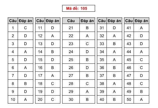 ban-dap-an-moi-105