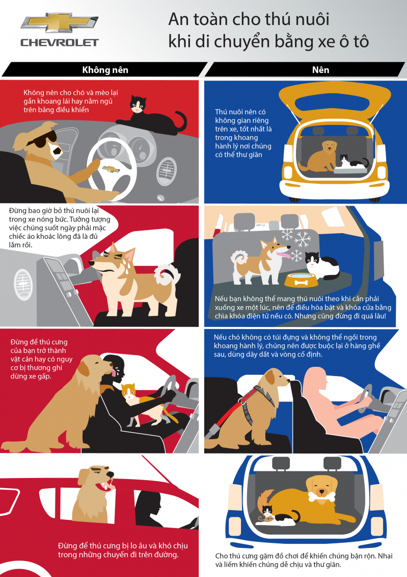 Pet safety for car travel VN