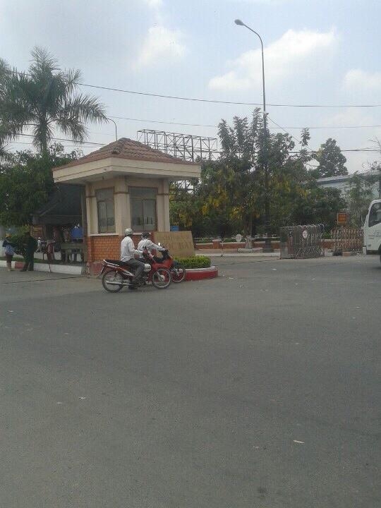 tin-tuc-lua-dao-1