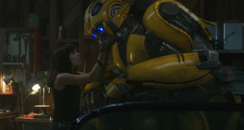 Bumblebee-FF-011RA