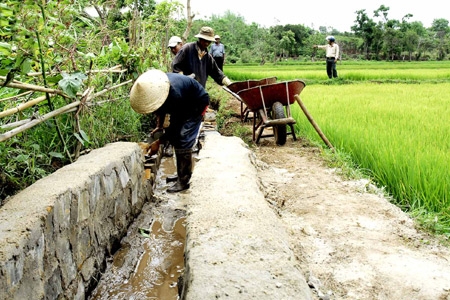 kenh muong gia lai