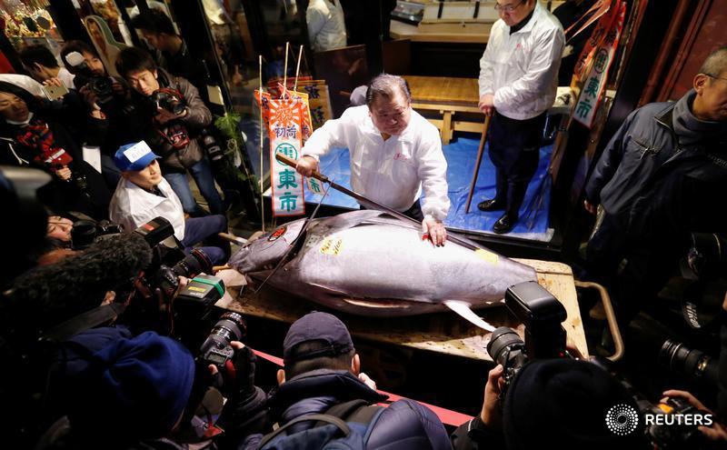 Đấu giá cá ngừ đại dương