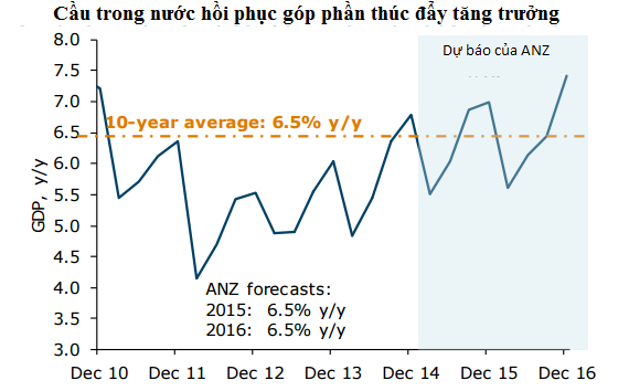 anz-nang-du-bao-tang-truong-kinh-te-viet-nam