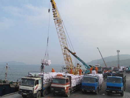 Các phương tiện đang làm hàng tại Cảng Quy Nhơn