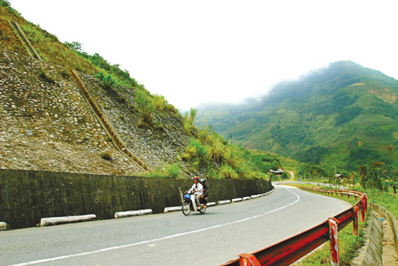 Đảo hoa anh đào Pá Khoang Điện Biên Nơi thu hút du khách bởi vẻ đẹp thơ mộng và hoang sơ