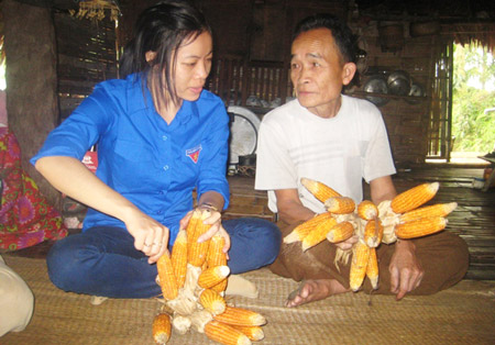 Vũ Thị Chiến đang trao đổi với người dân về cây ngô