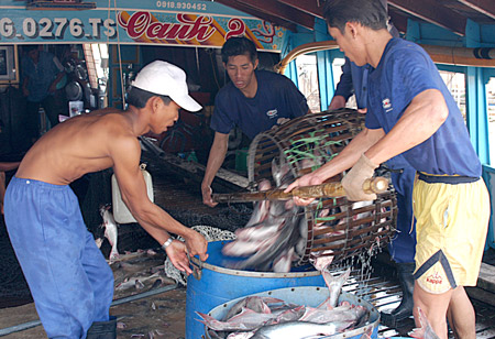 Việt Nam cần chú trọng đầu tư kinh tế biển 