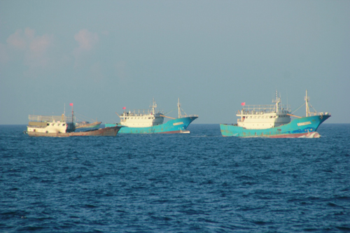 Tàu cá Trung Quốc tập trung rất đông gần khu vực hạ đặt giàn khoan trái phép , hung hăng tấn công tàu cá Việt Nam. Ảnh Hoàng Sơn 